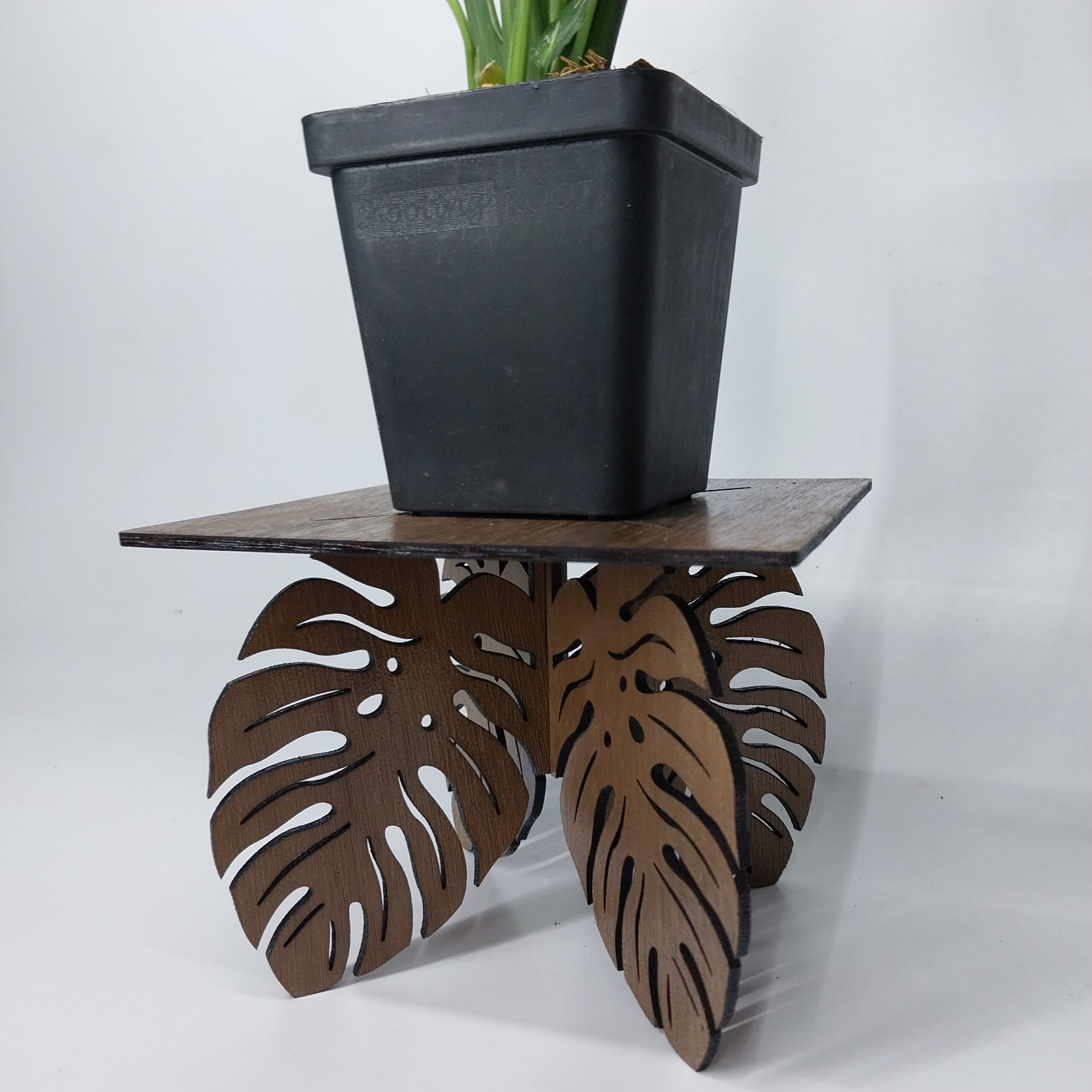 Wooden Monstera Pot Stand - Image 3