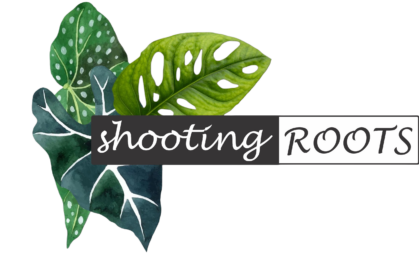 ShootingRoots